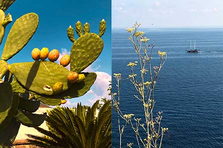 mostra mediterraneo